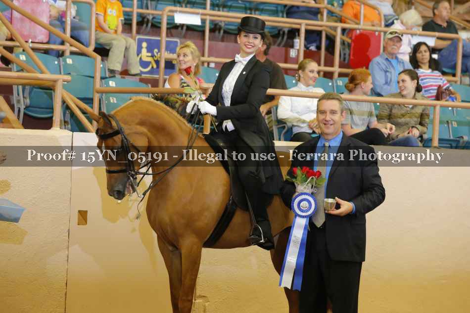 Proof 15YN_05191