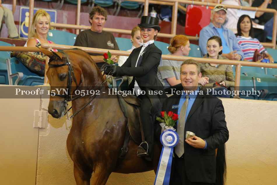 Proof 15YN_05192