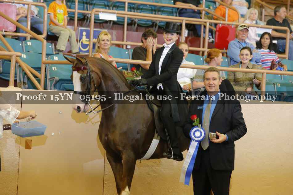 Proof 15YN_05195