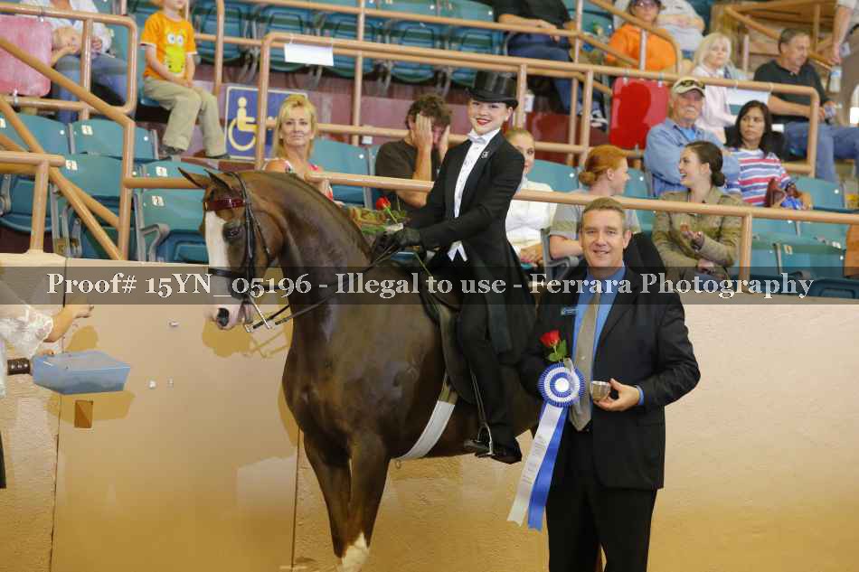 Proof 15YN_05196
