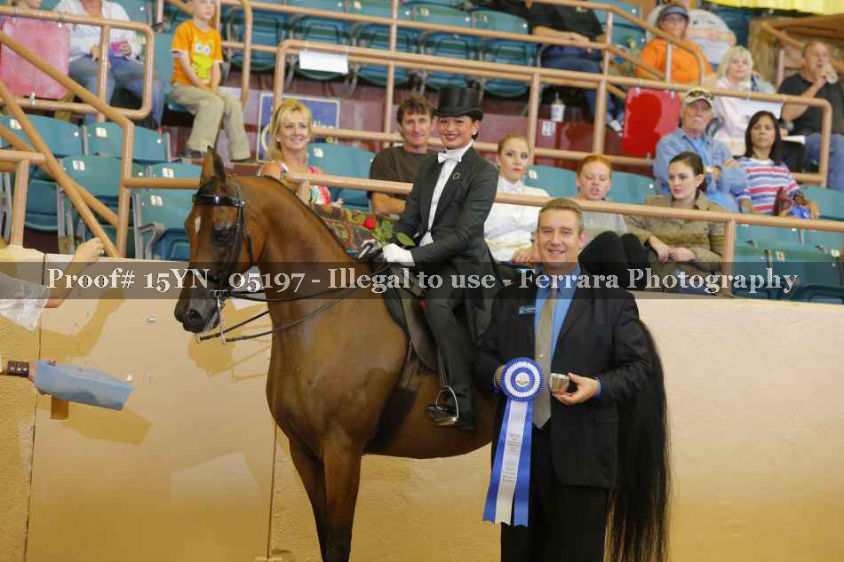 Proof 15YN_05197