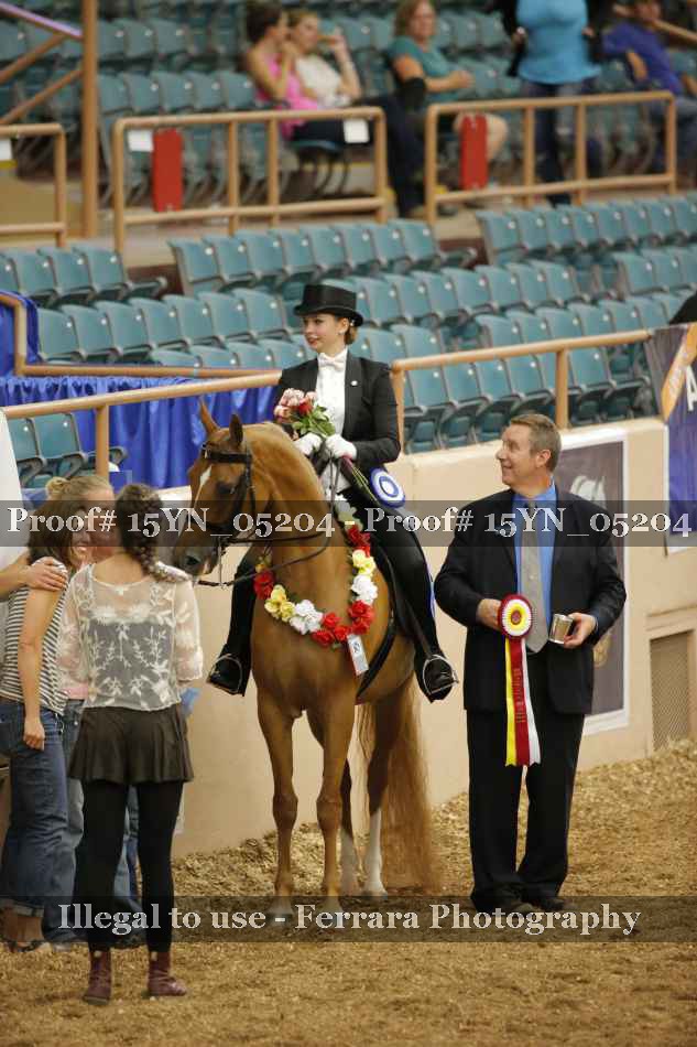 Proof 15YN_05204