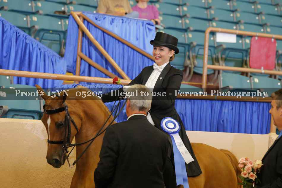 Proof 15YN_05205