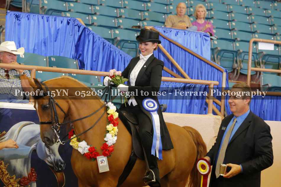 Proof 15YN_05208