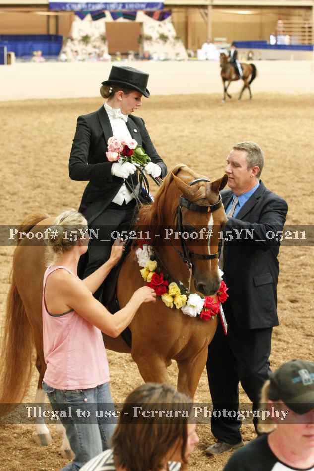Proof 15YN_05211