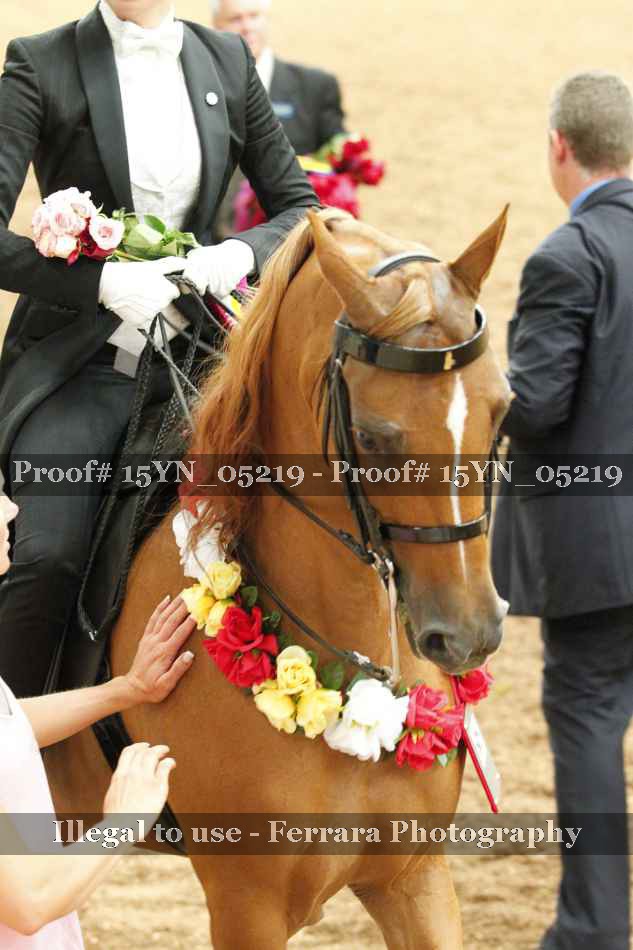 Proof 15YN_05219