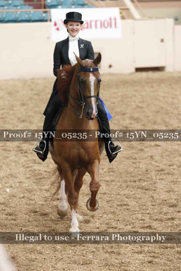 Proof 15YN_05235