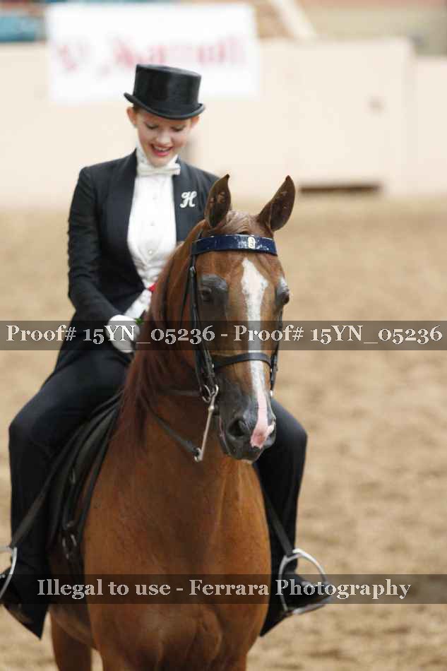 Proof 15YN_05236