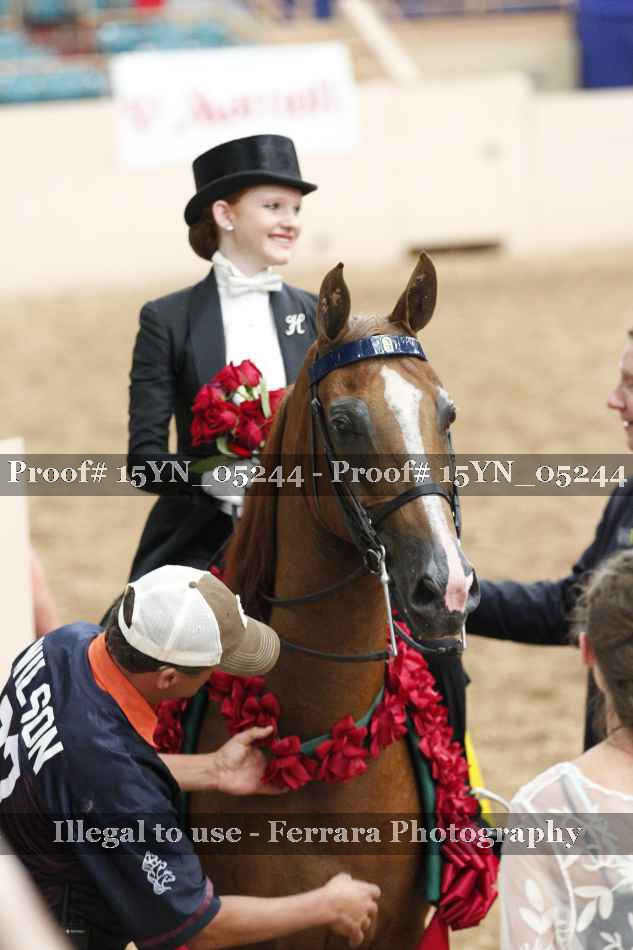 Proof 15YN_05244