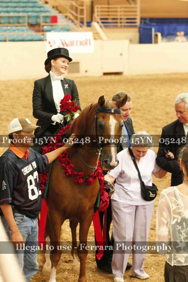 Proof 15YN_05248