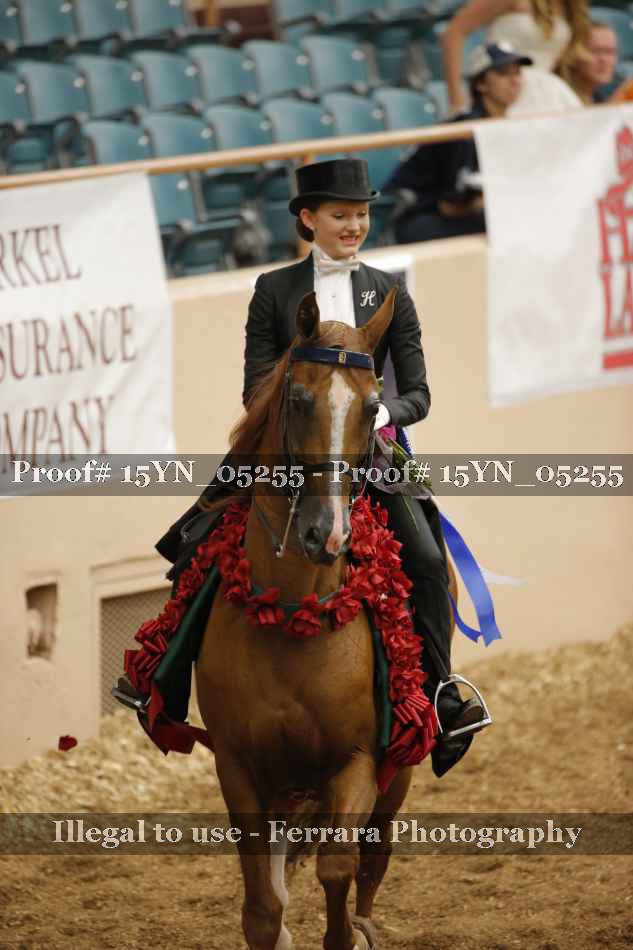 Proof 15YN_05255
