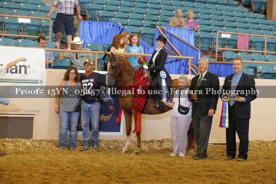 Proof 15YN_05257