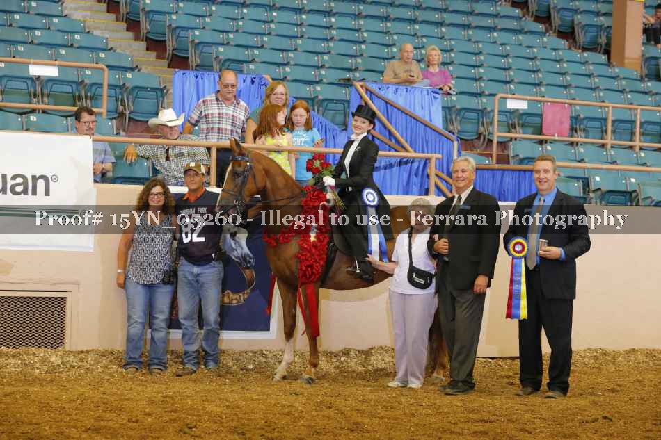 Proof 15YN_05260