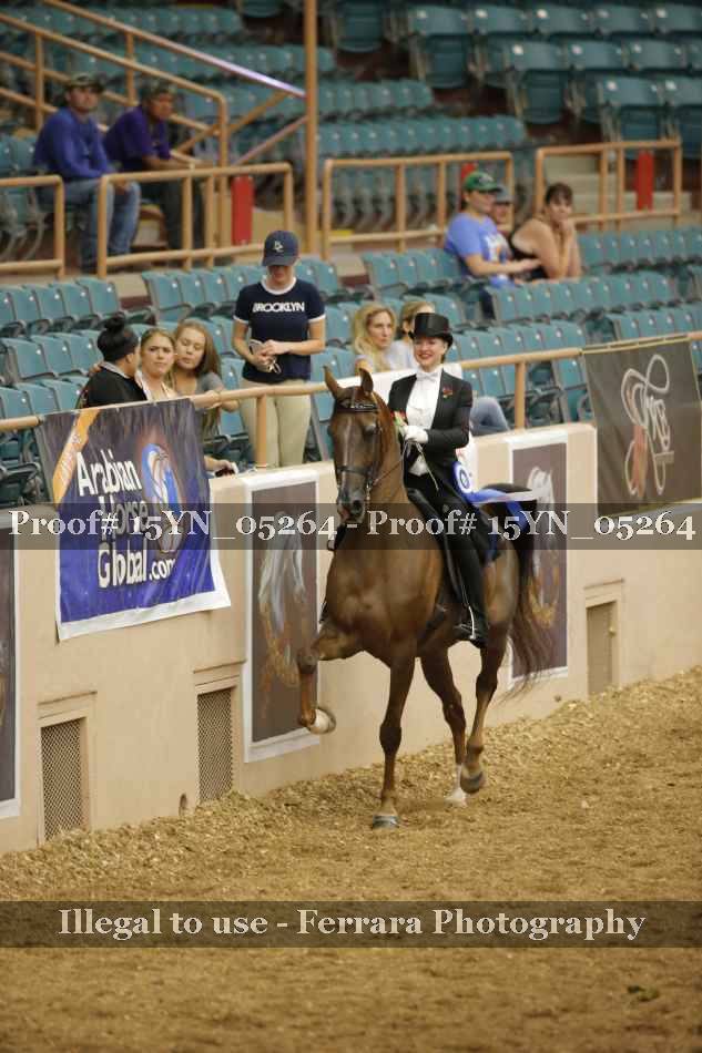 Proof 15YN_05264