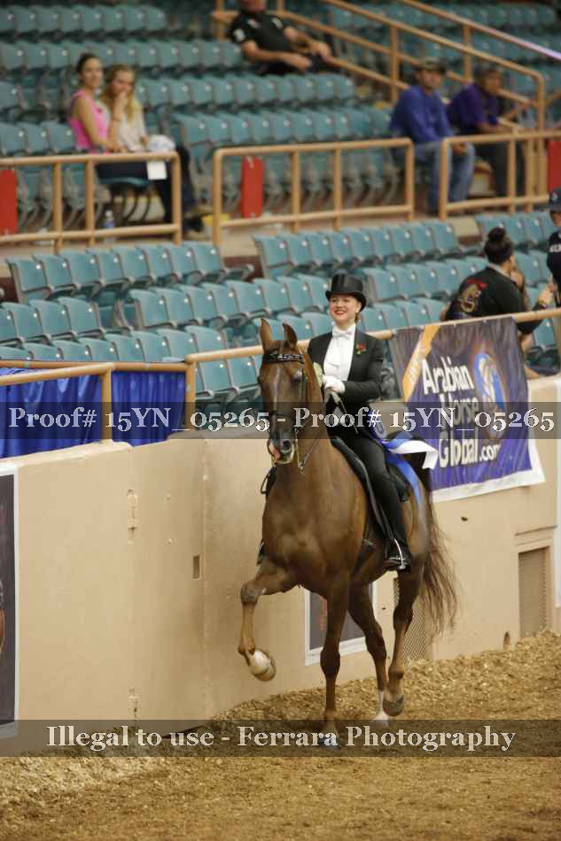Proof 15YN_05265