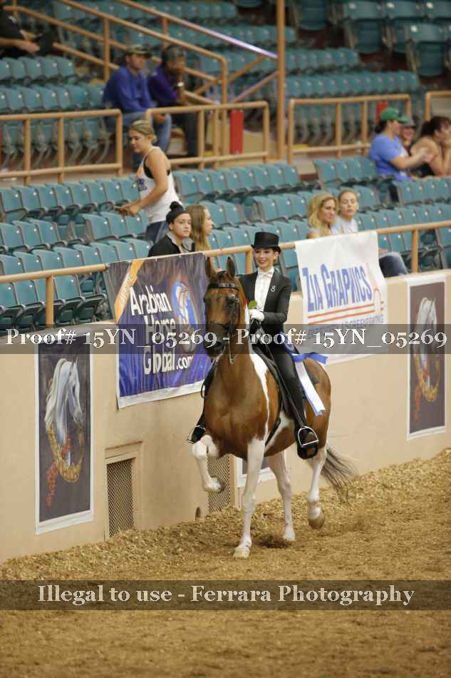 Proof 15YN_05269
