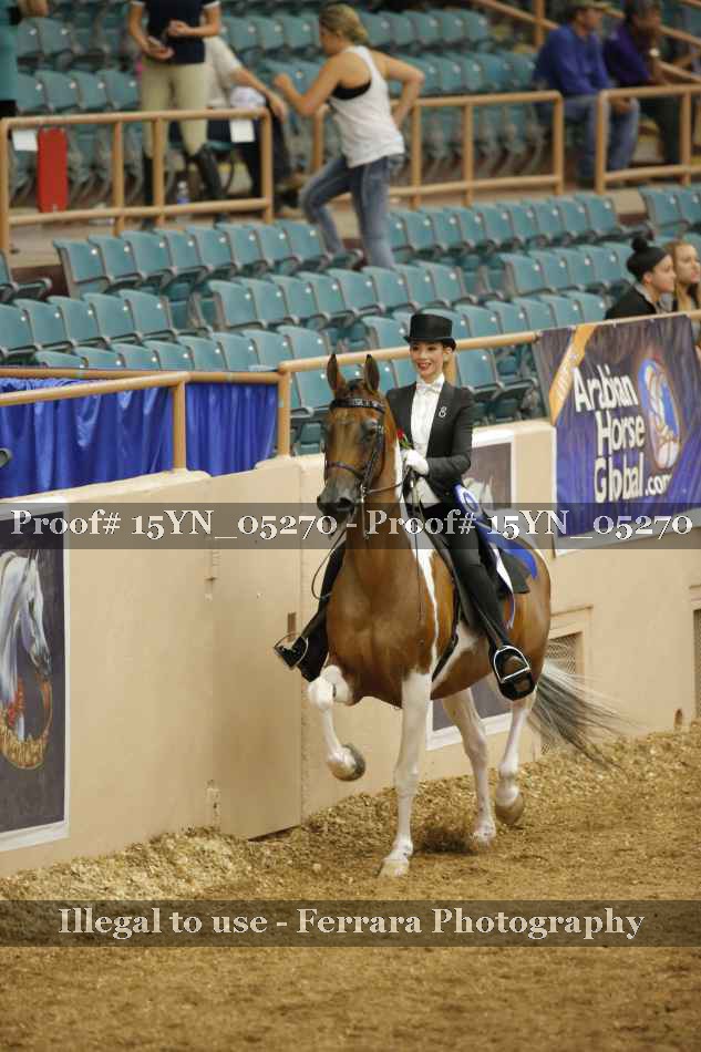Proof 15YN_05270