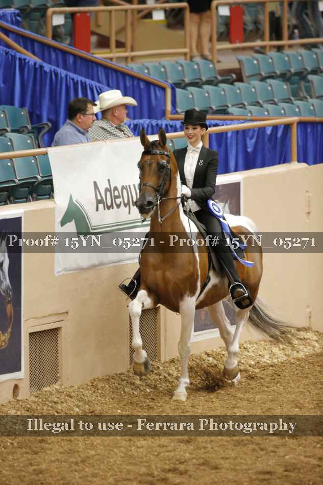 Proof 15YN_05271