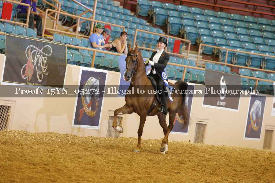 Proof 15YN_05272