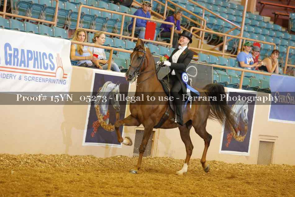 Proof 15YN_05273
