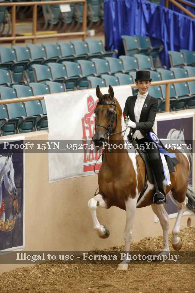 Proof 15YN_05274