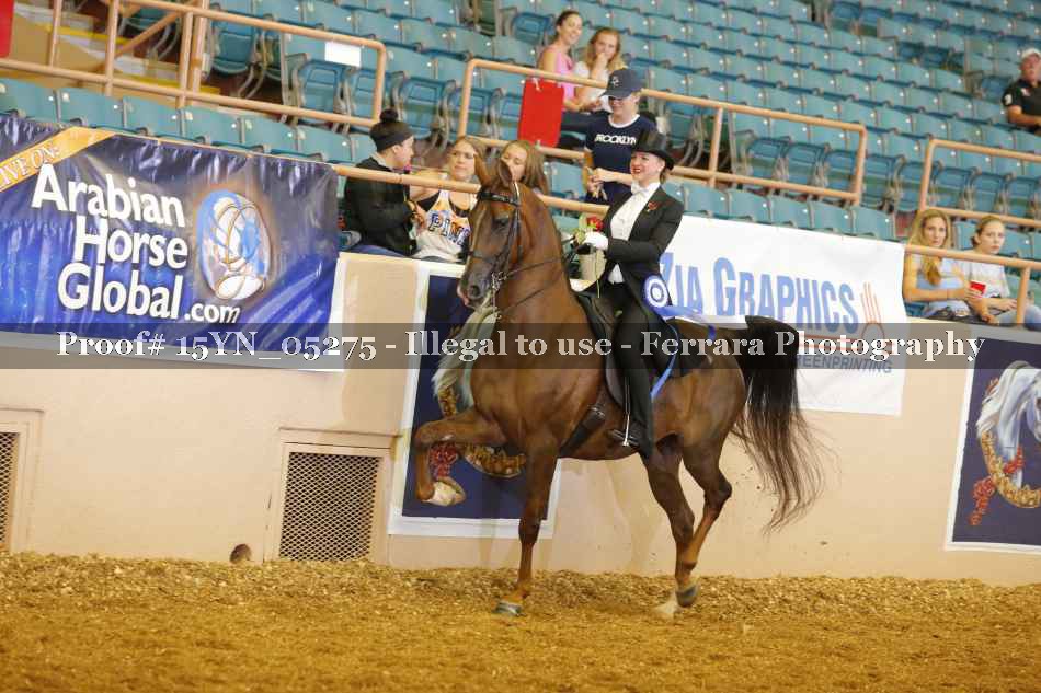 Proof 15YN_05275