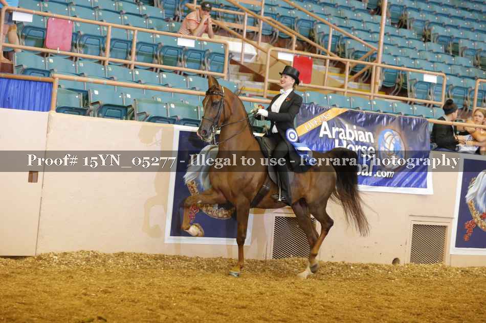 Proof 15YN_05277