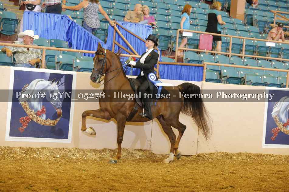 Proof 15YN_05278