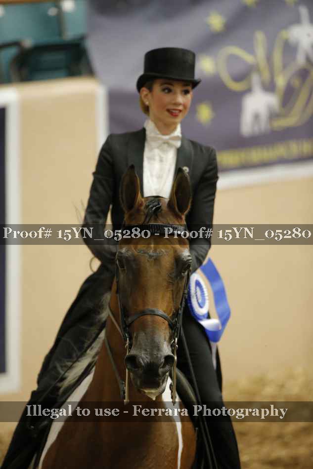 Proof 15YN_05280