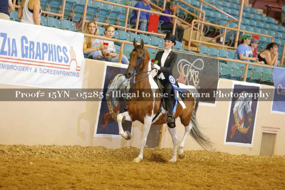 Proof 15YN_05285