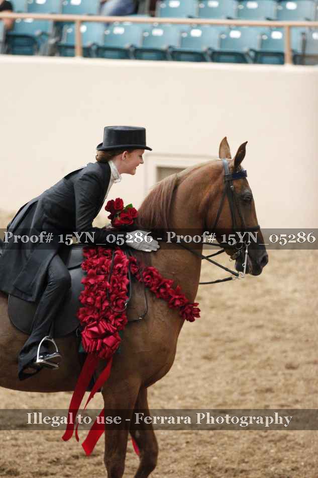 Proof 15YN_05286