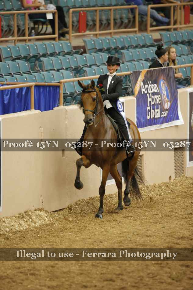 Proof 15YN_05287