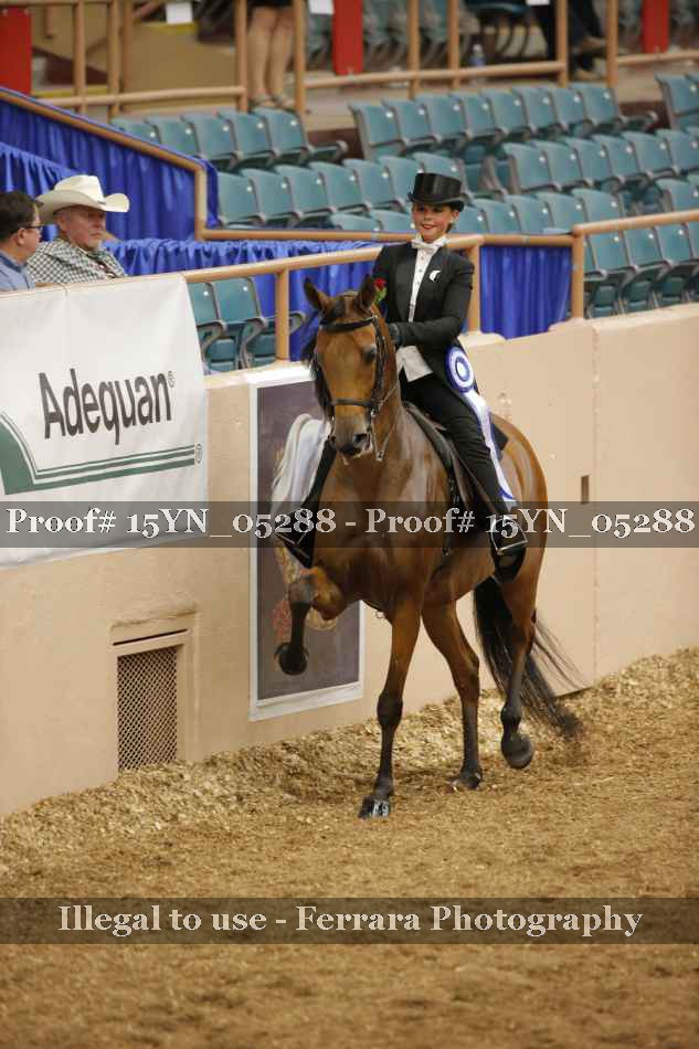 Proof 15YN_05288