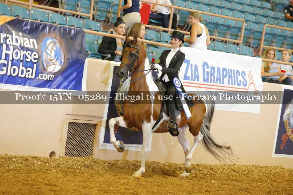 Proof 15YN_05289