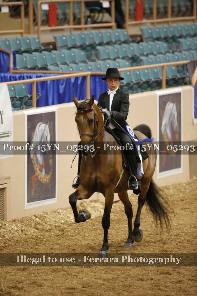 Proof 15YN_05293