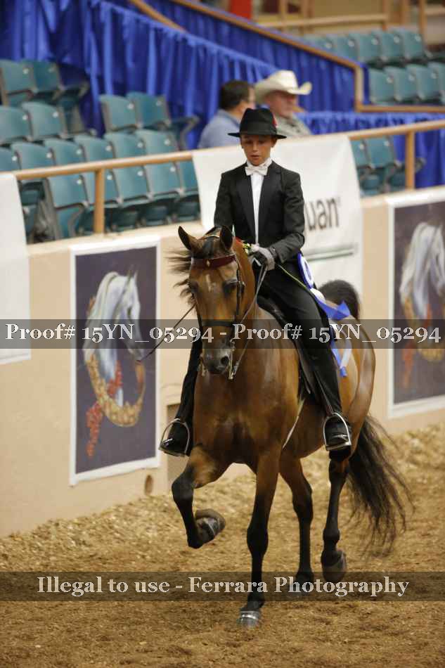 Proof 15YN_05294