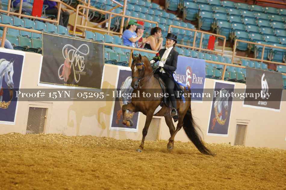 Proof 15YN_05295