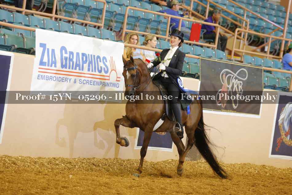 Proof 15YN_05296