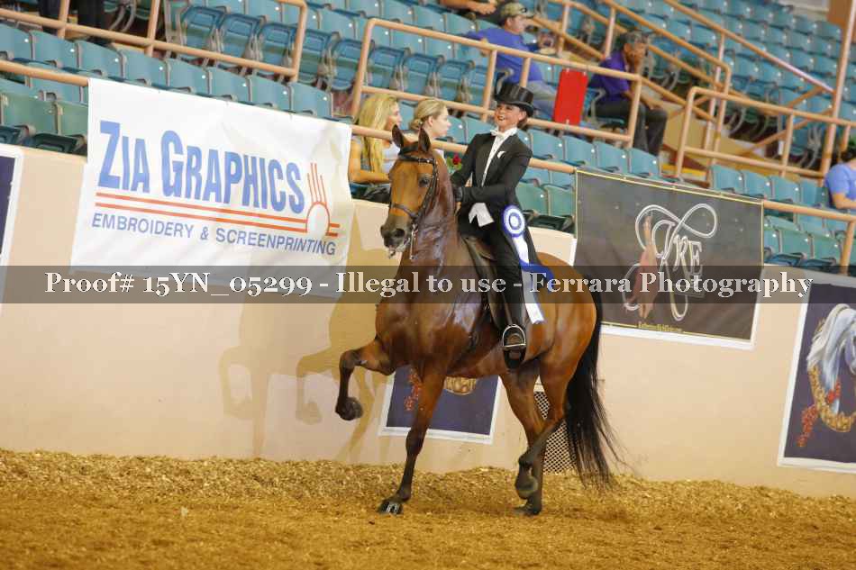 Proof 15YN_05299