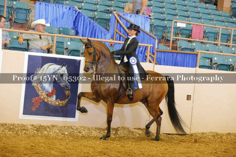 Proof 15YN_05302