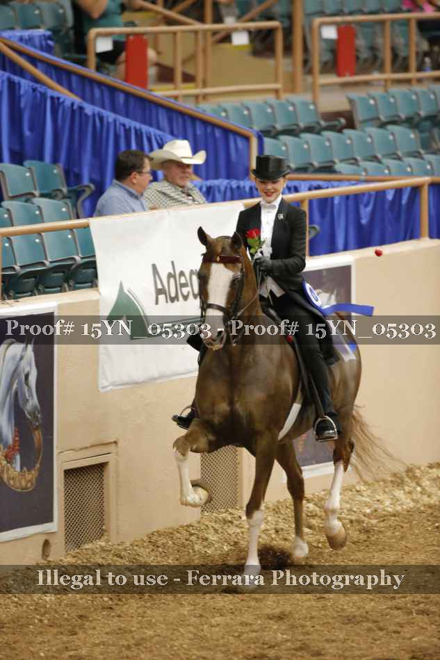 Proof 15YN_05303