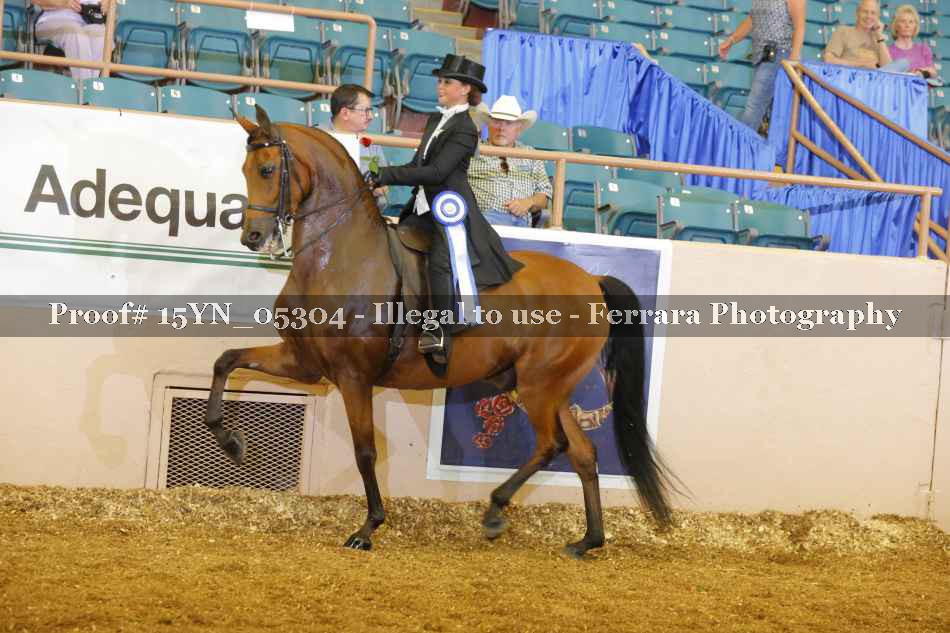 Proof 15YN_05304