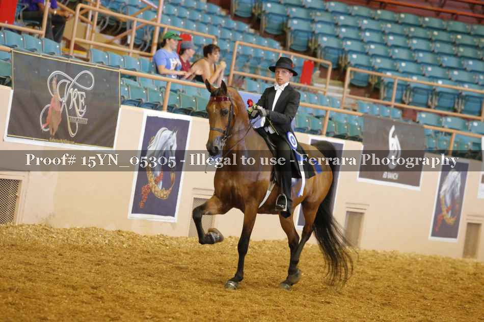 Proof 15YN_05305