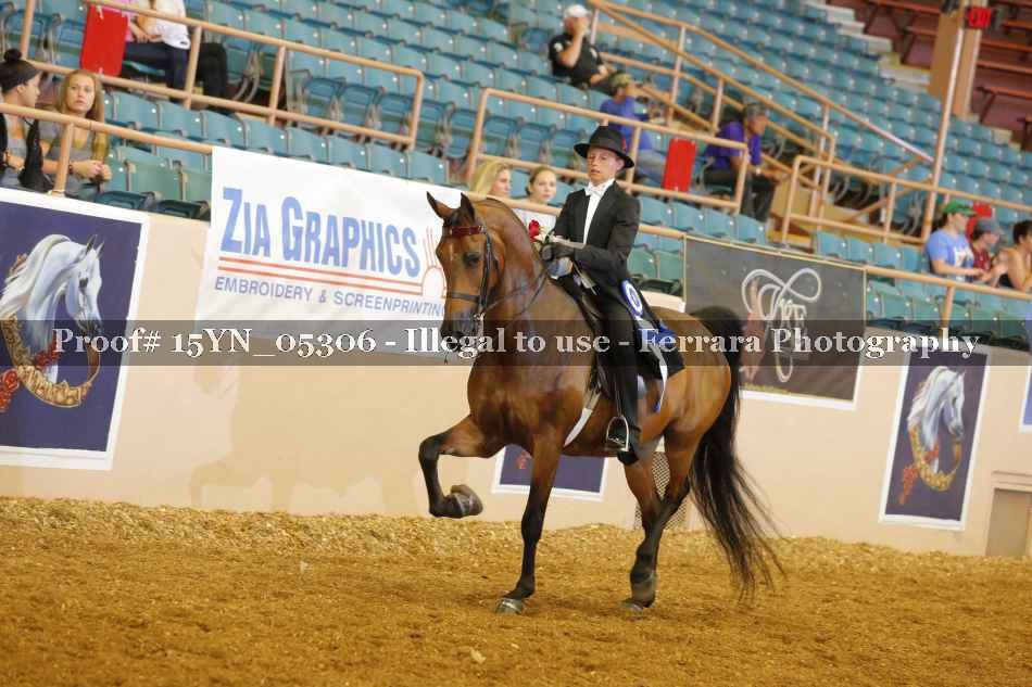 Proof 15YN_05306