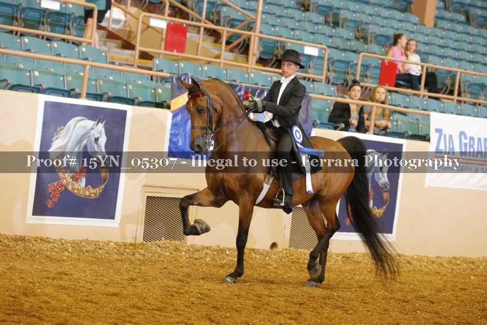 Proof 15YN_05307