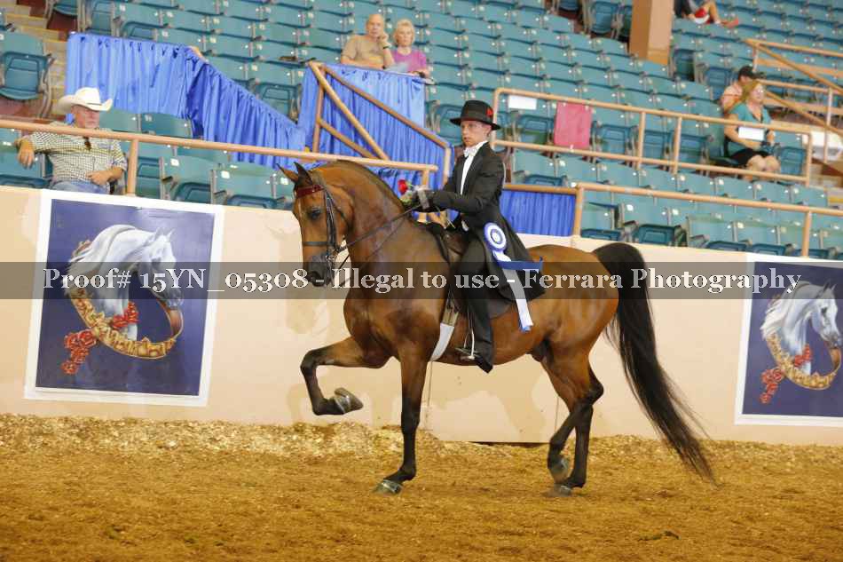 Proof 15YN_05308