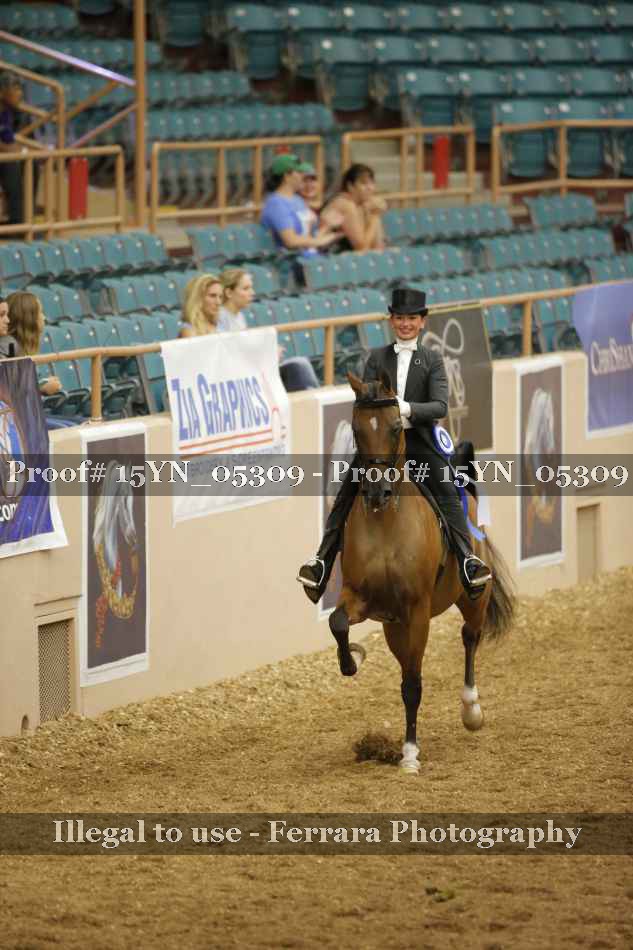 Proof 15YN_05309
