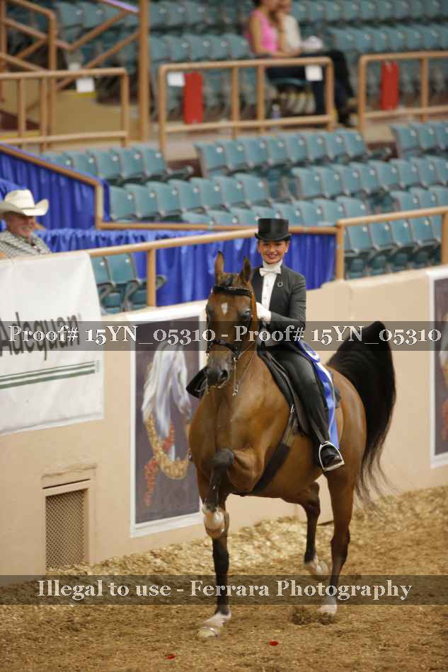 Proof 15YN_05310