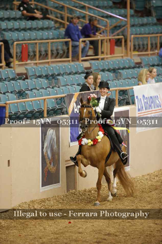 Proof 15YN_05311