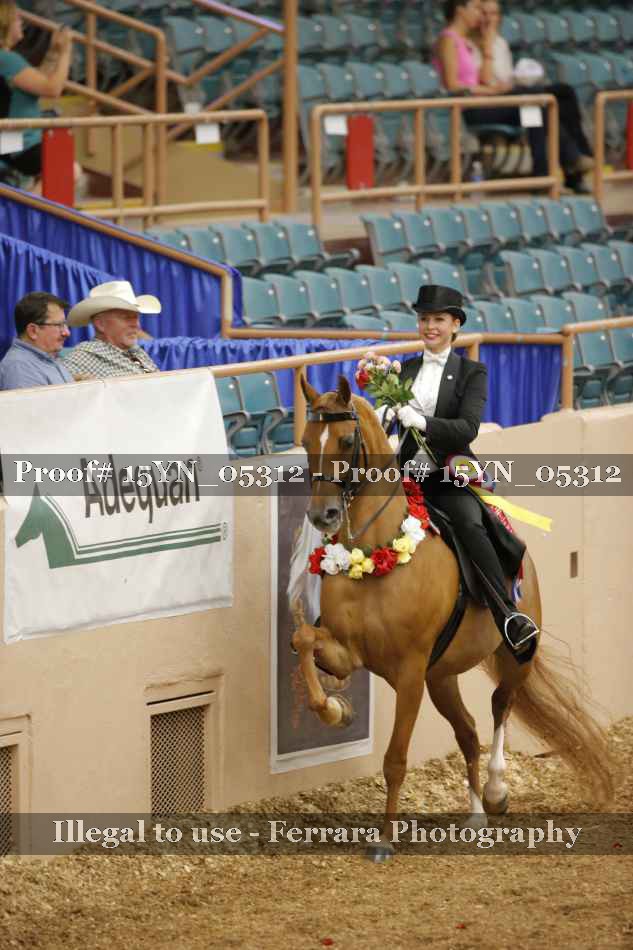 Proof 15YN_05312